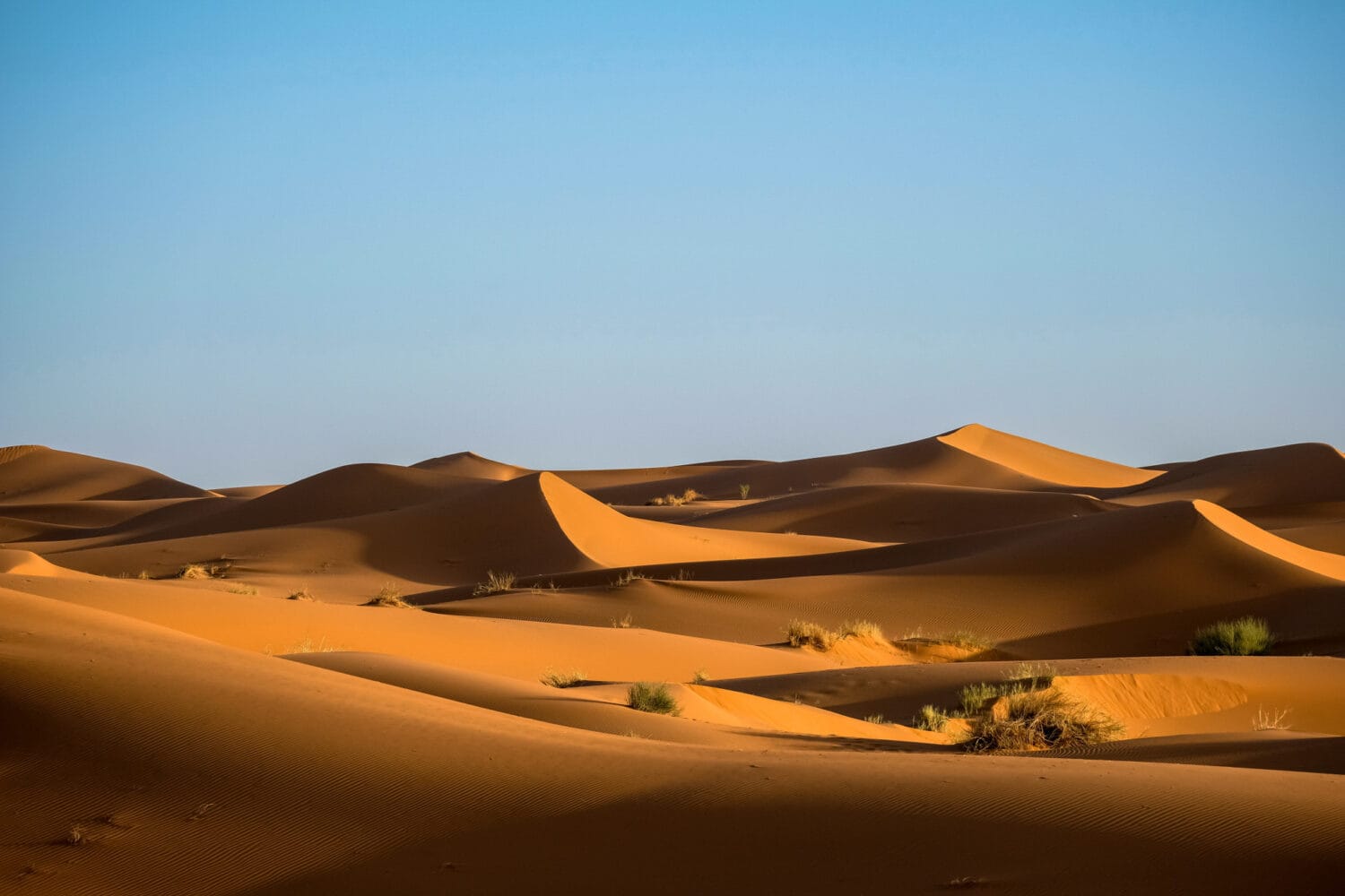 Merzouga Desert: A Journey into Morocco’s sea of sand