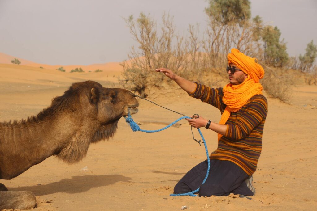 Top Morocco Desert Tours