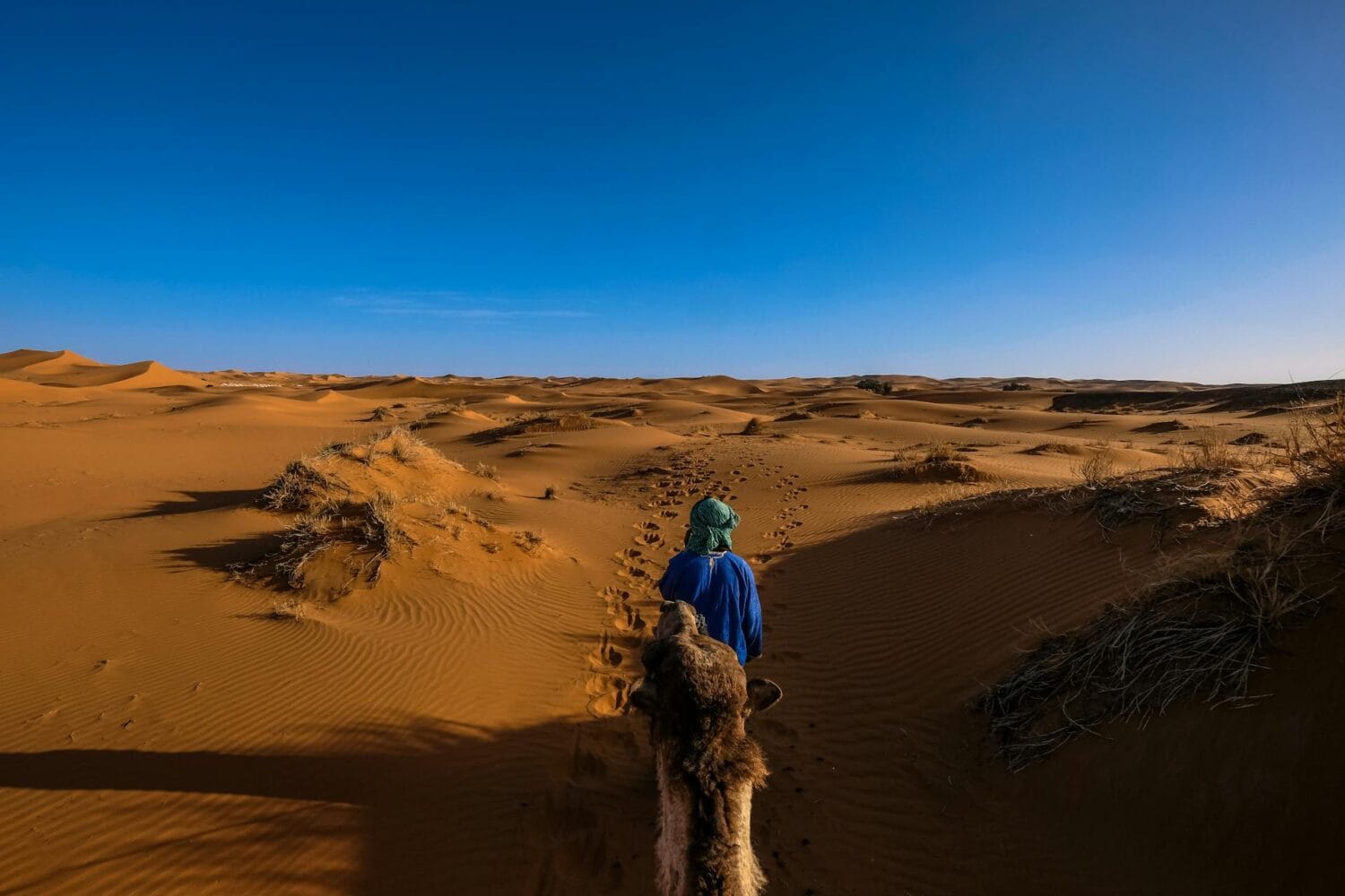 Discover the Beauty of Morocco Through Stunning Photos