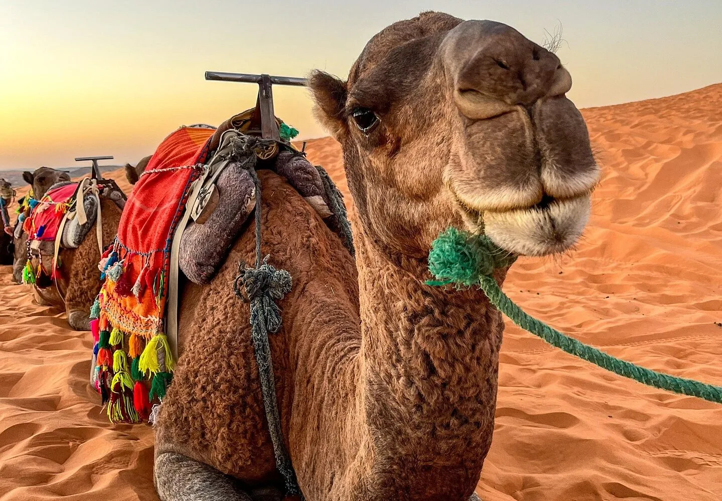 2-Day Desert Tour from Marrakech to Merzouga