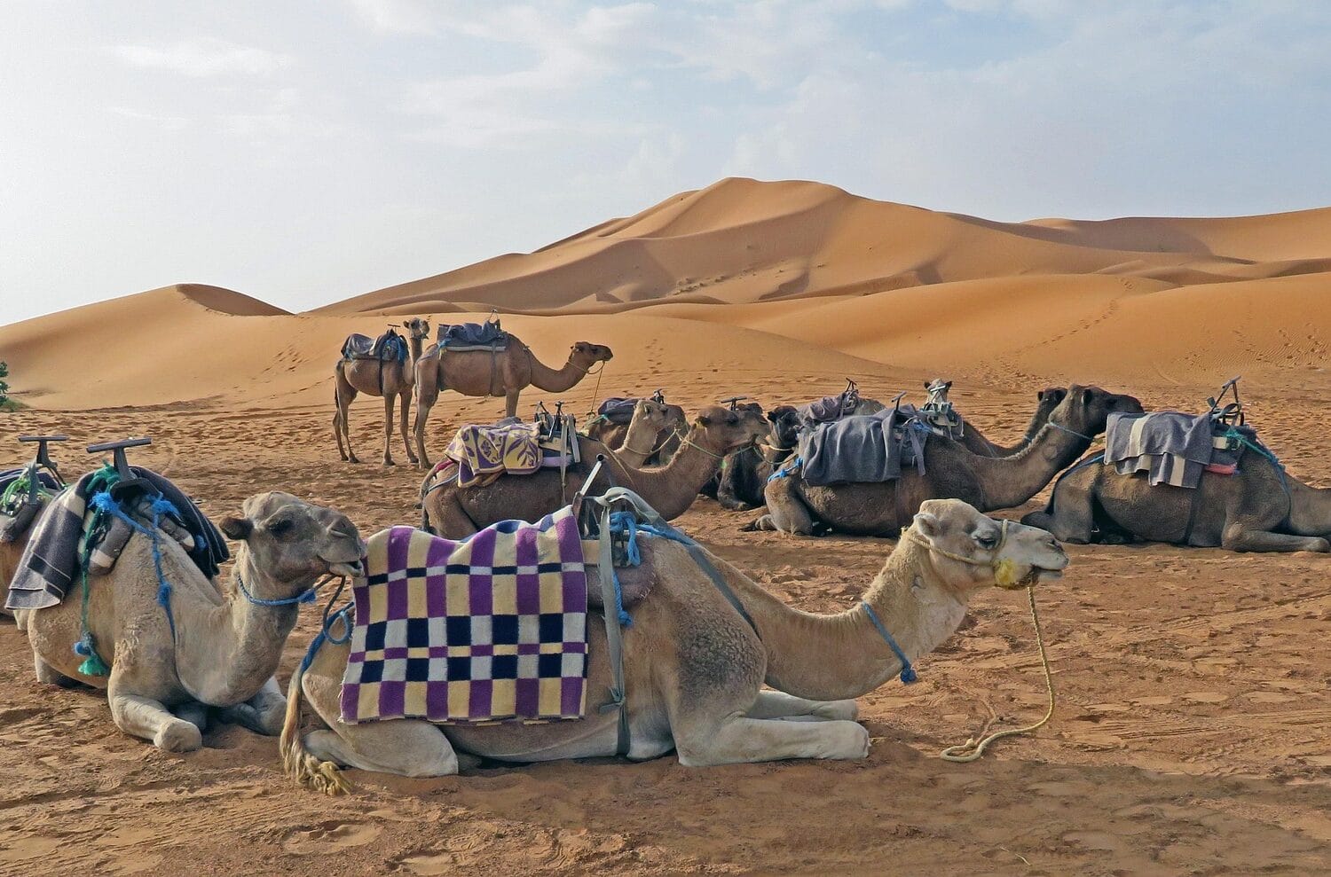 1-Day Excursion in the Sahara Desert of Merzouga