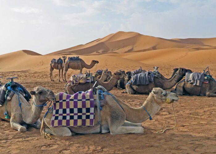 1-Day Excursion in the Sahara Desert of Merzouga
