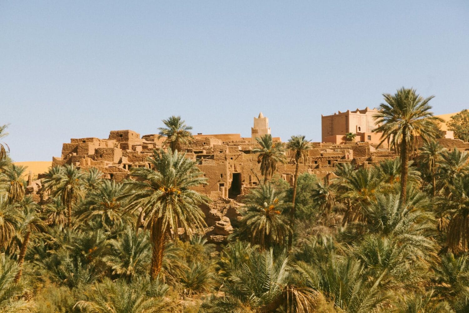 Epic 1-Day Excursion from Marrakech to Kasbah Ait Benhaddou