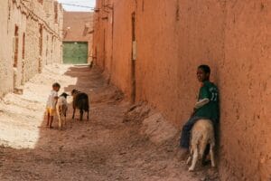 Excursions From Zagora
