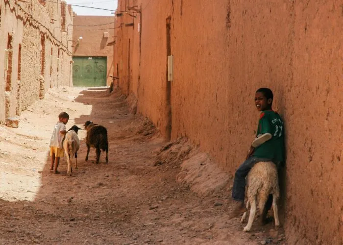 Excursions From Zagora