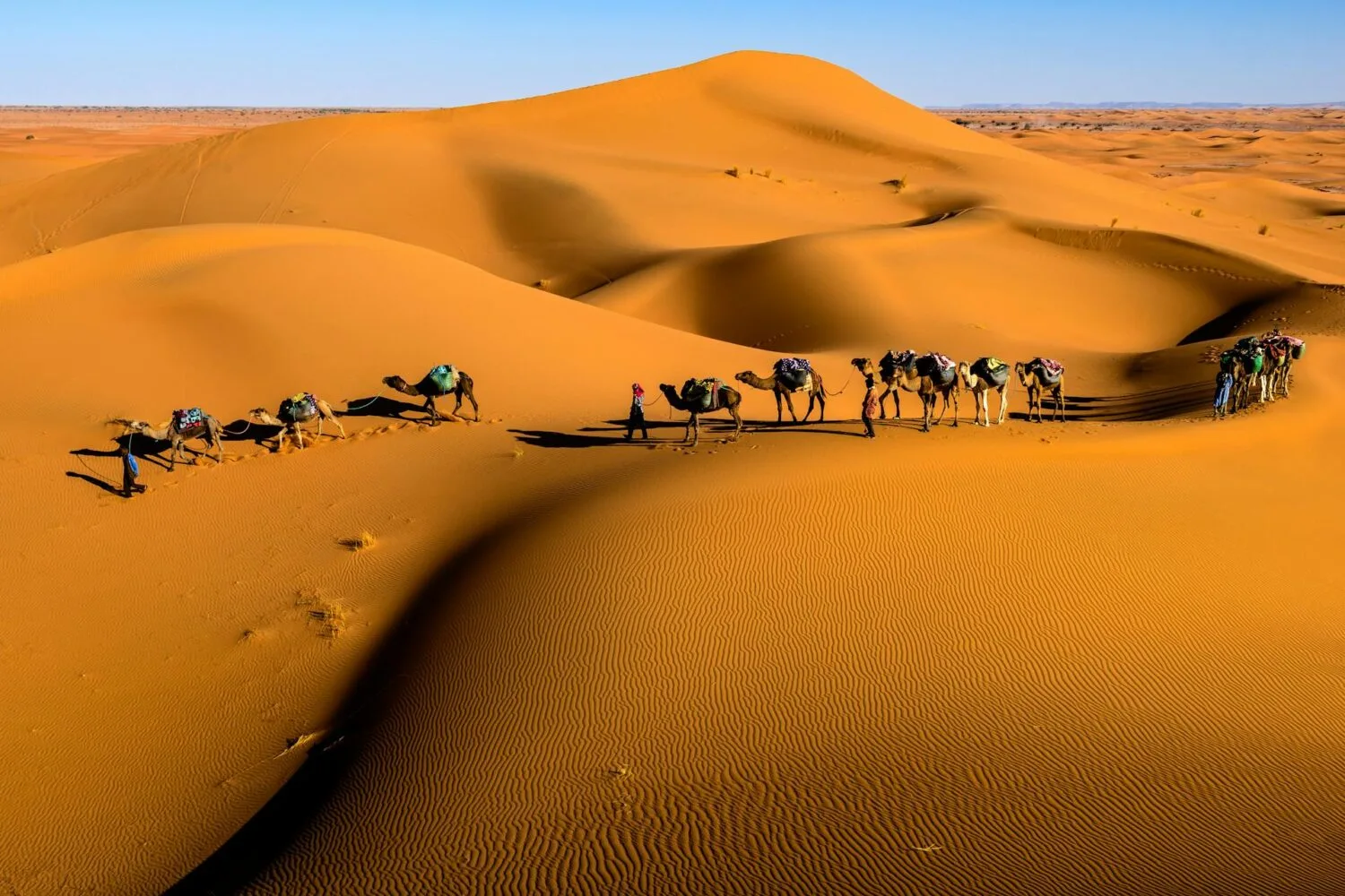explore our exclusive excursions