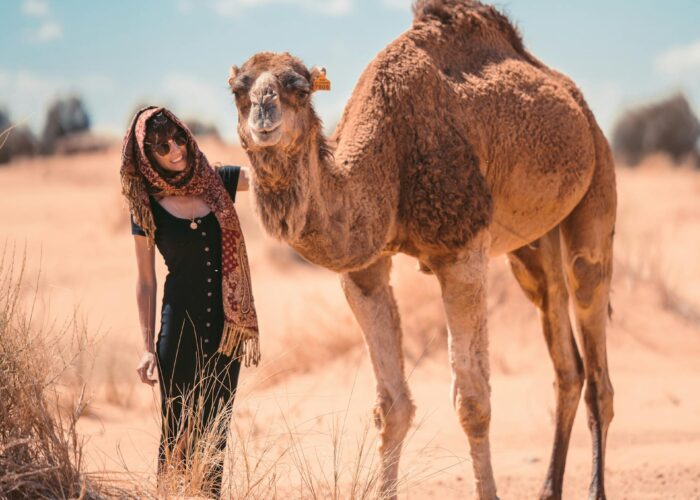 4-Day Desert Tour from Fes to Marrakech