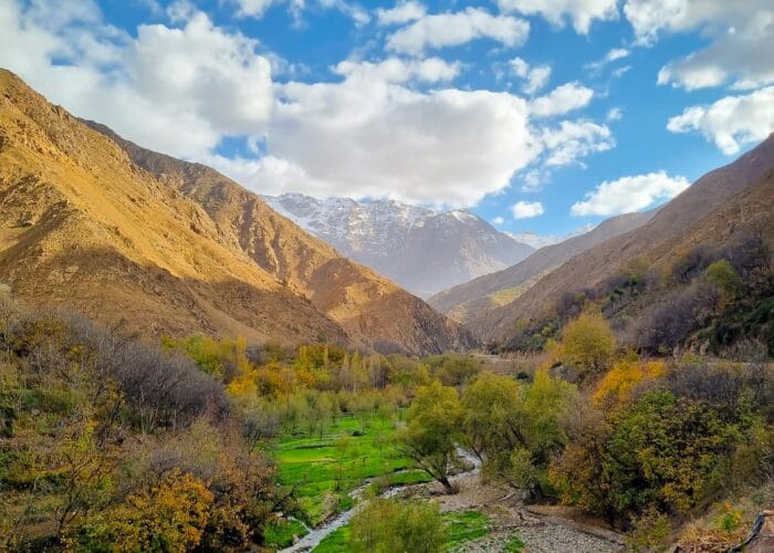 Exclusive 1 Day Trip from Marrakech to Imlil Atlas Mountain