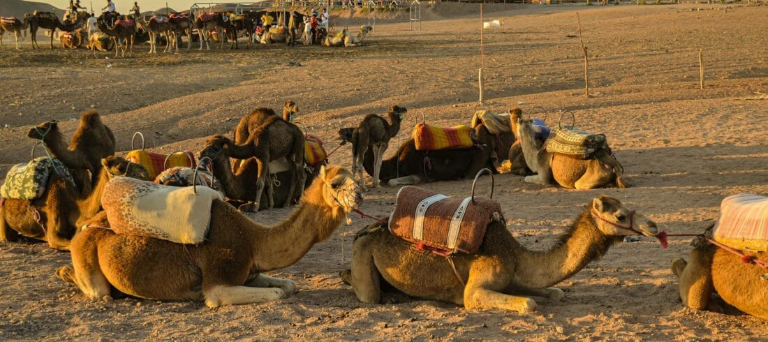 Best 4-day tour from Marrakesh to Agafay desert