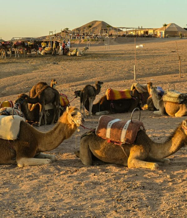 Best 4-day tour from Marrakesh to Agafay desert