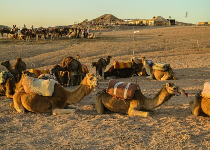 Best 4-day tour from Marrakesh to Agafay desert