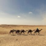 New 2-Day Tour from Marrakech to Zagora Desert