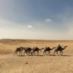 New 2-Day Tour from Marrakech to Zagora Desert