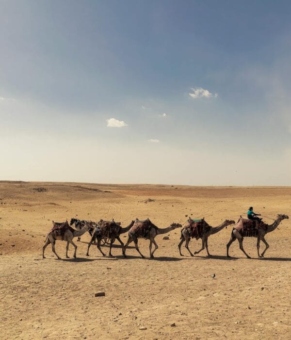 New 2-Day Tour from Marrakech to Zagora Desert