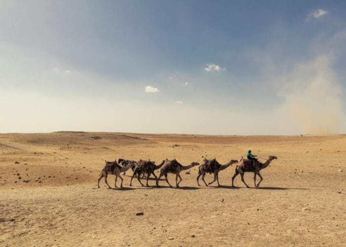 New 2-Day Tour from Marrakech to Zagora Desert