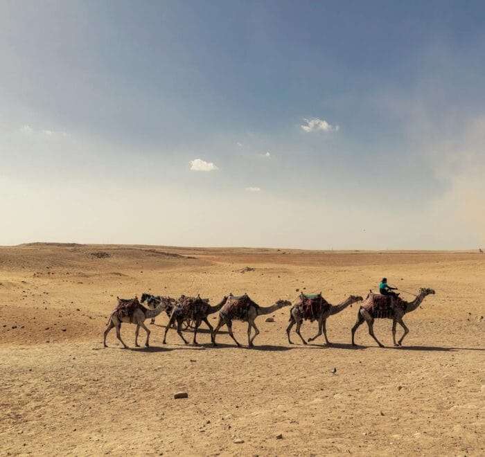 New 2-Day Tour from Marrakech to Zagora Desert