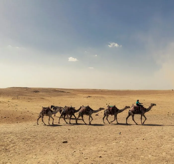 New 2-Day Tour from Marrakech to Zagora Desert