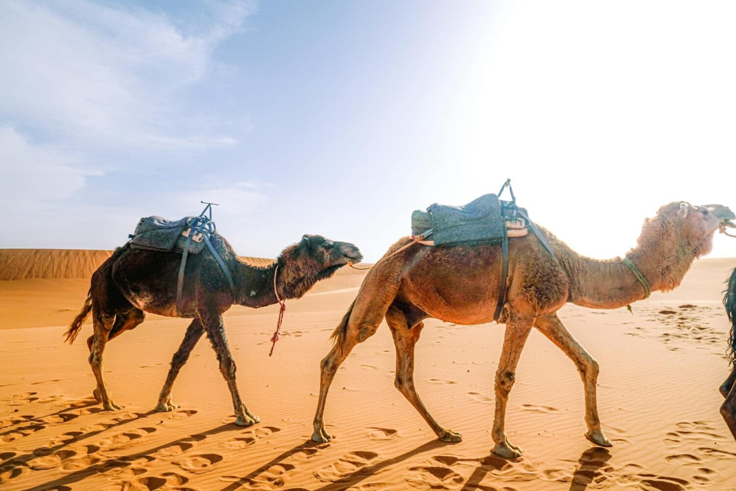 New 4-Day desert tour from Tangier to Marrakech