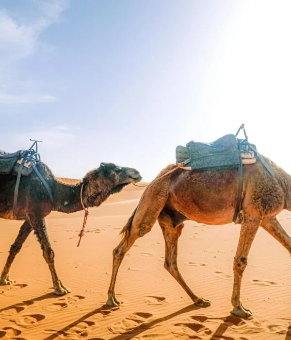 New 4-Day desert tour from Tangier to Marrakech