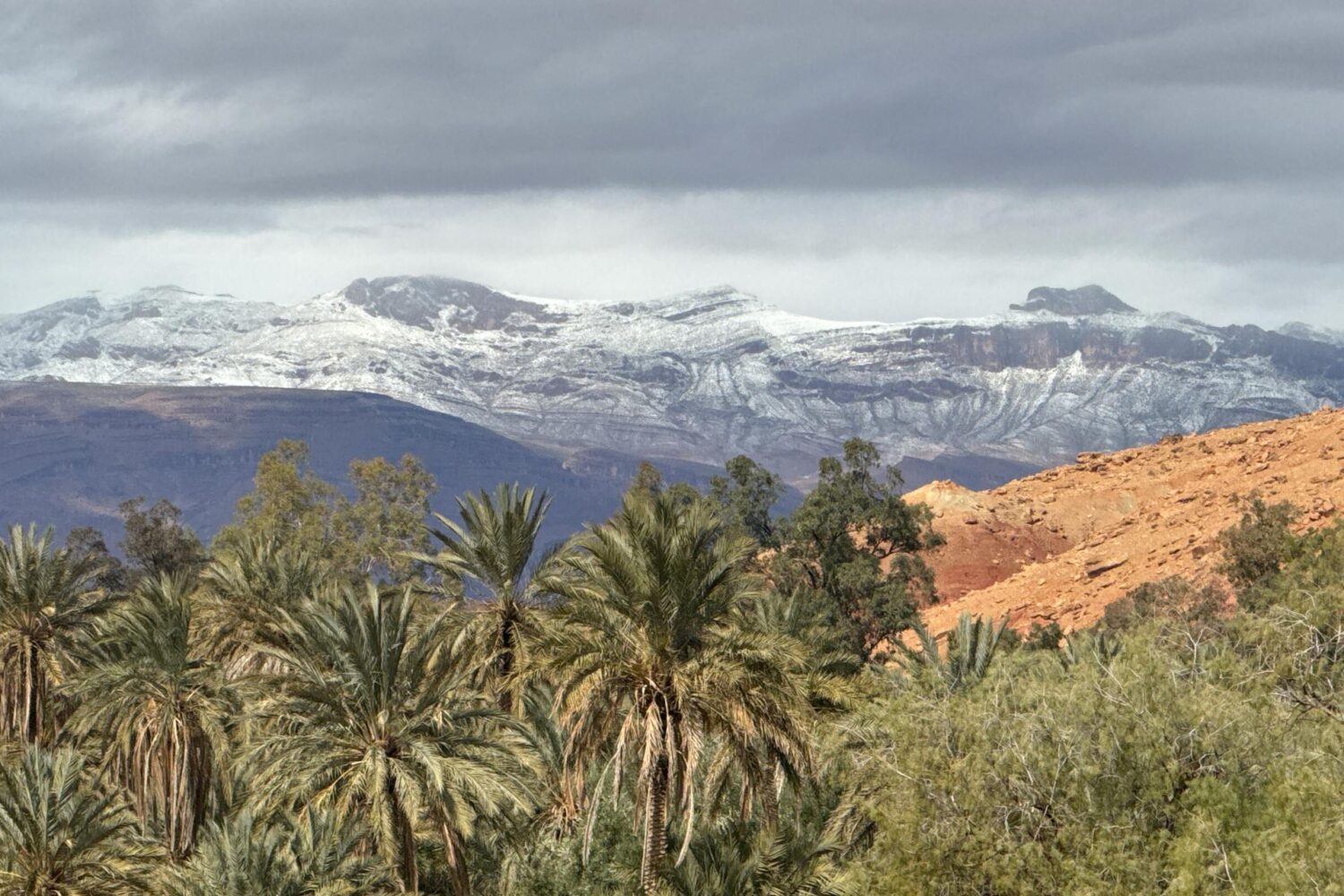 Tadighoust: A Hidden Oasis at the Edge of the Mountains