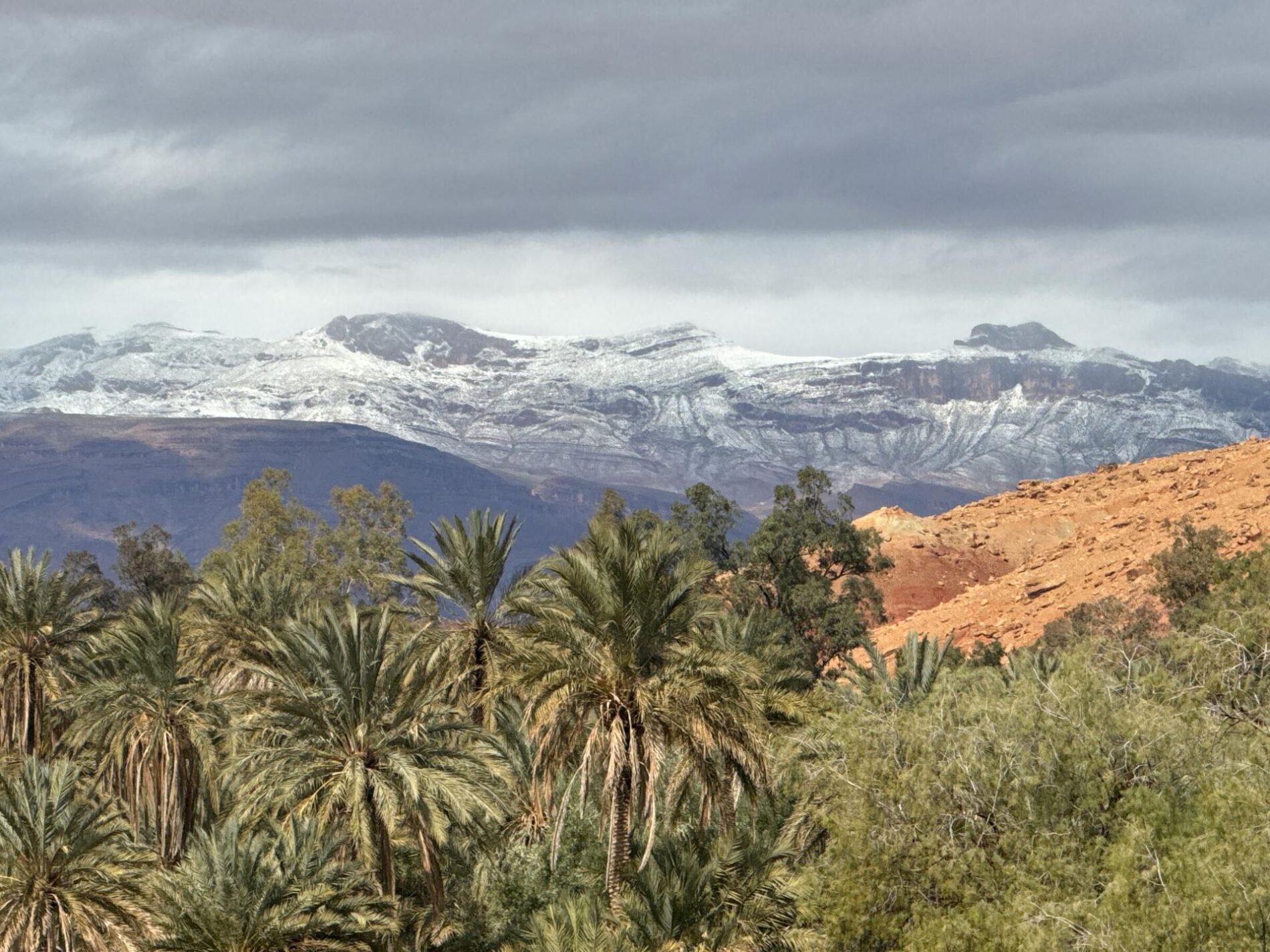 Tadighoust: A Hidden Oasis at the Edge of the Mountains