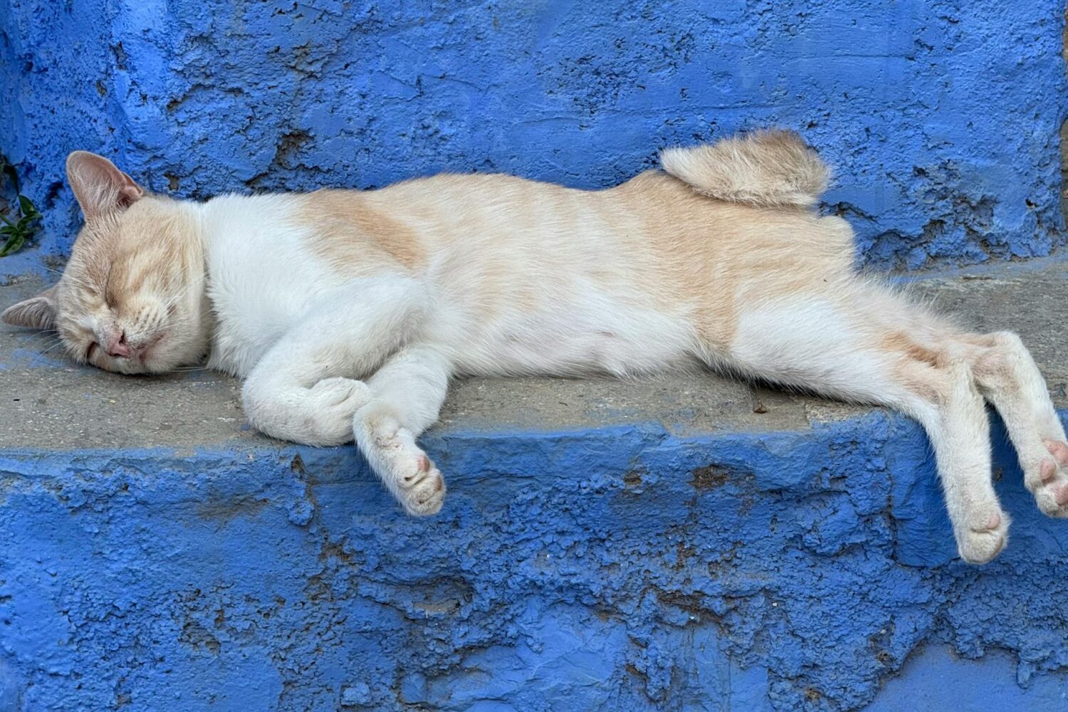 Things to Do in Chefchaouen, Morocco: