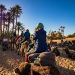 The Best Tour Company in Morocco