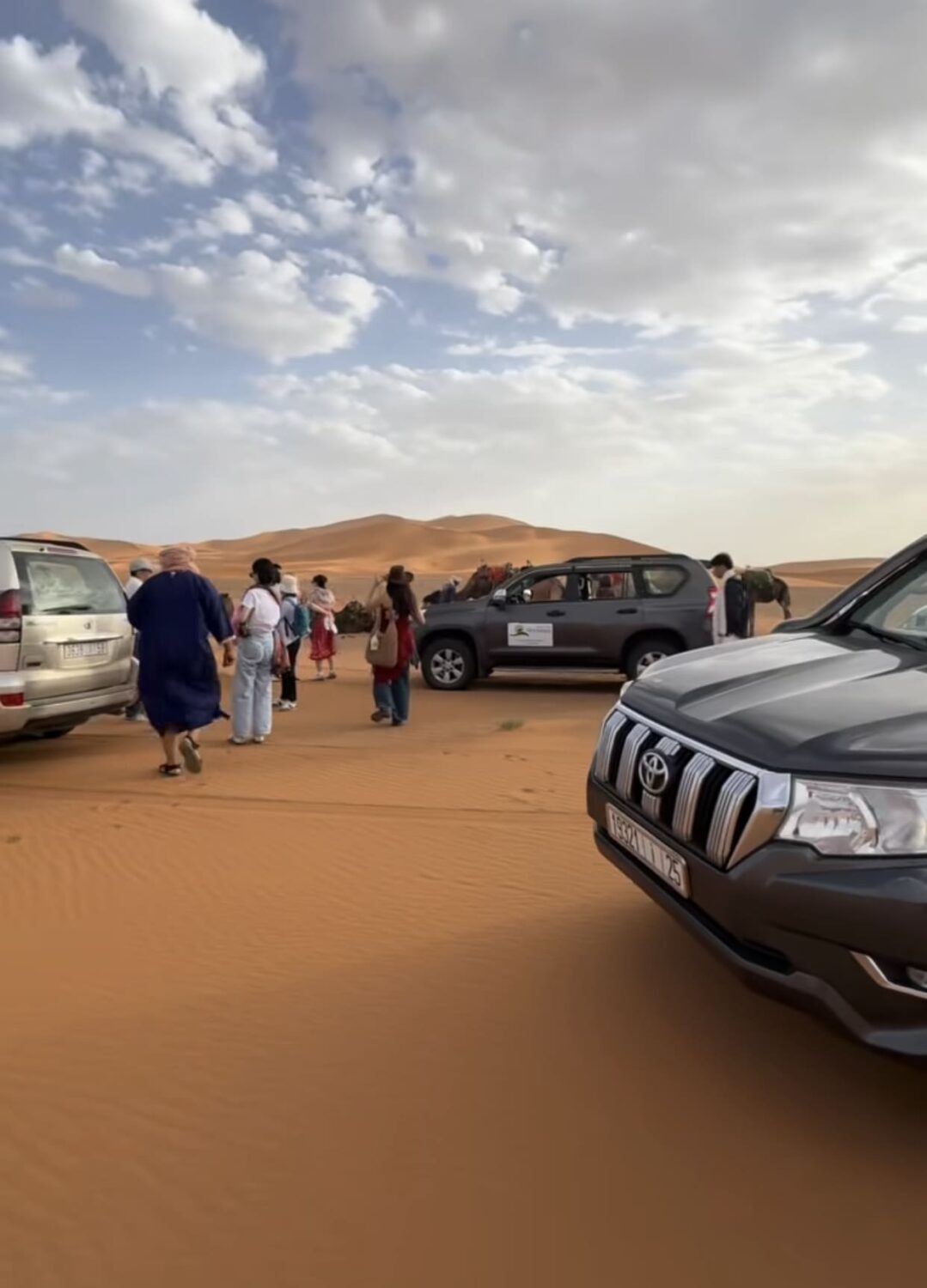 Tour Company of the Year 2025