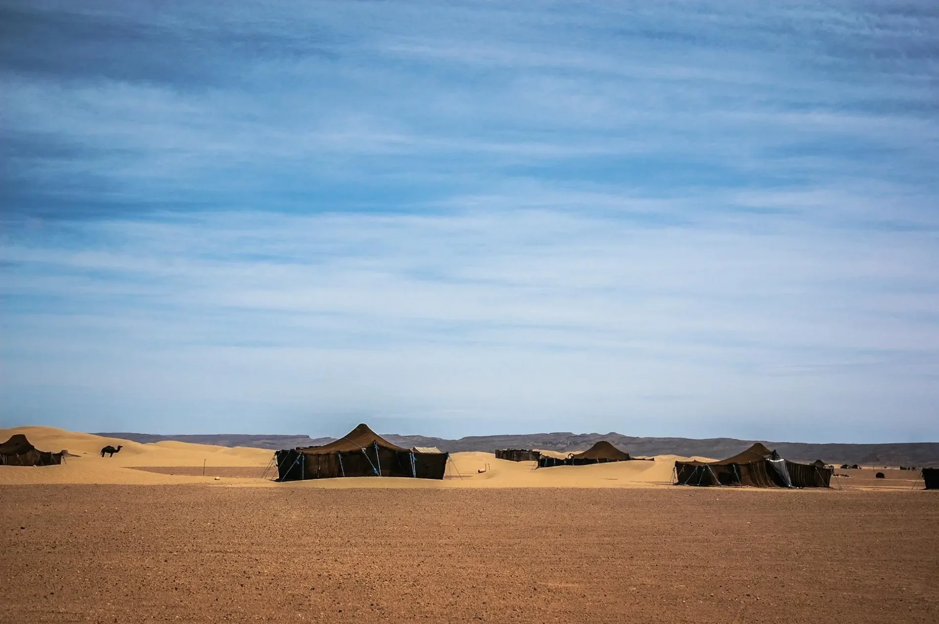 sahara desert of morocco