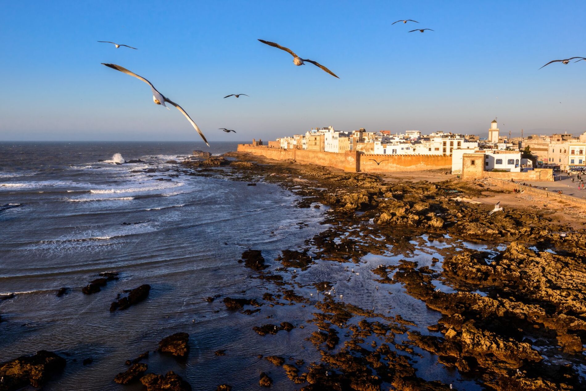 Essaouira: Atlantic Coastal Charm 