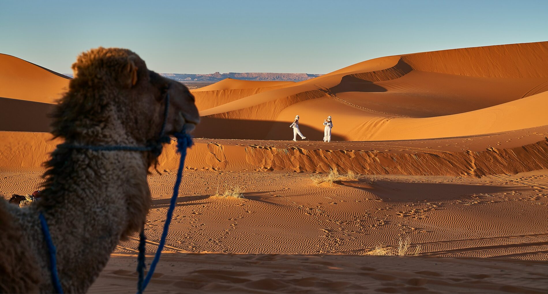 Can I Travel to Morocco Now ? 