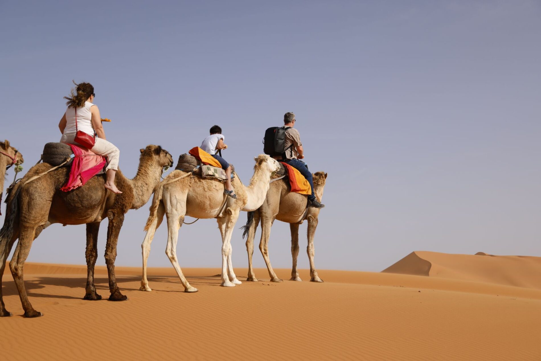 Morocco in Autumn