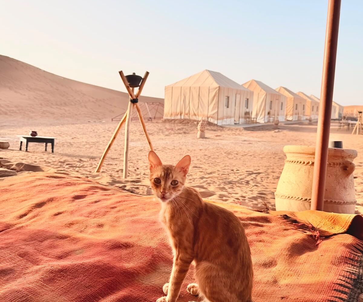 Travelling from the USA to Morocco : The Complete Guide for American Travelers