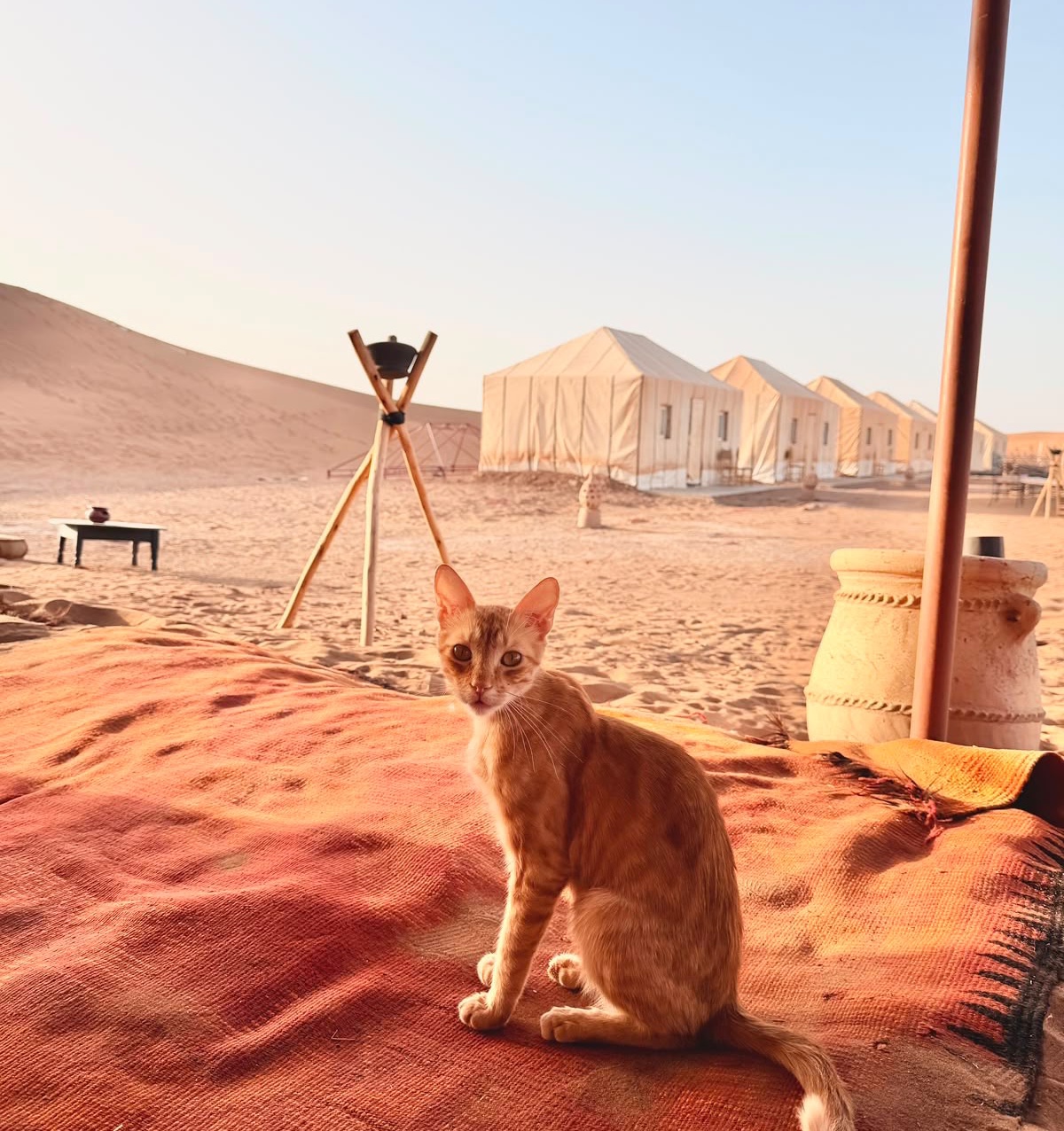 Travelling from the USA to Morocco : The Complete Guide for American Travelers