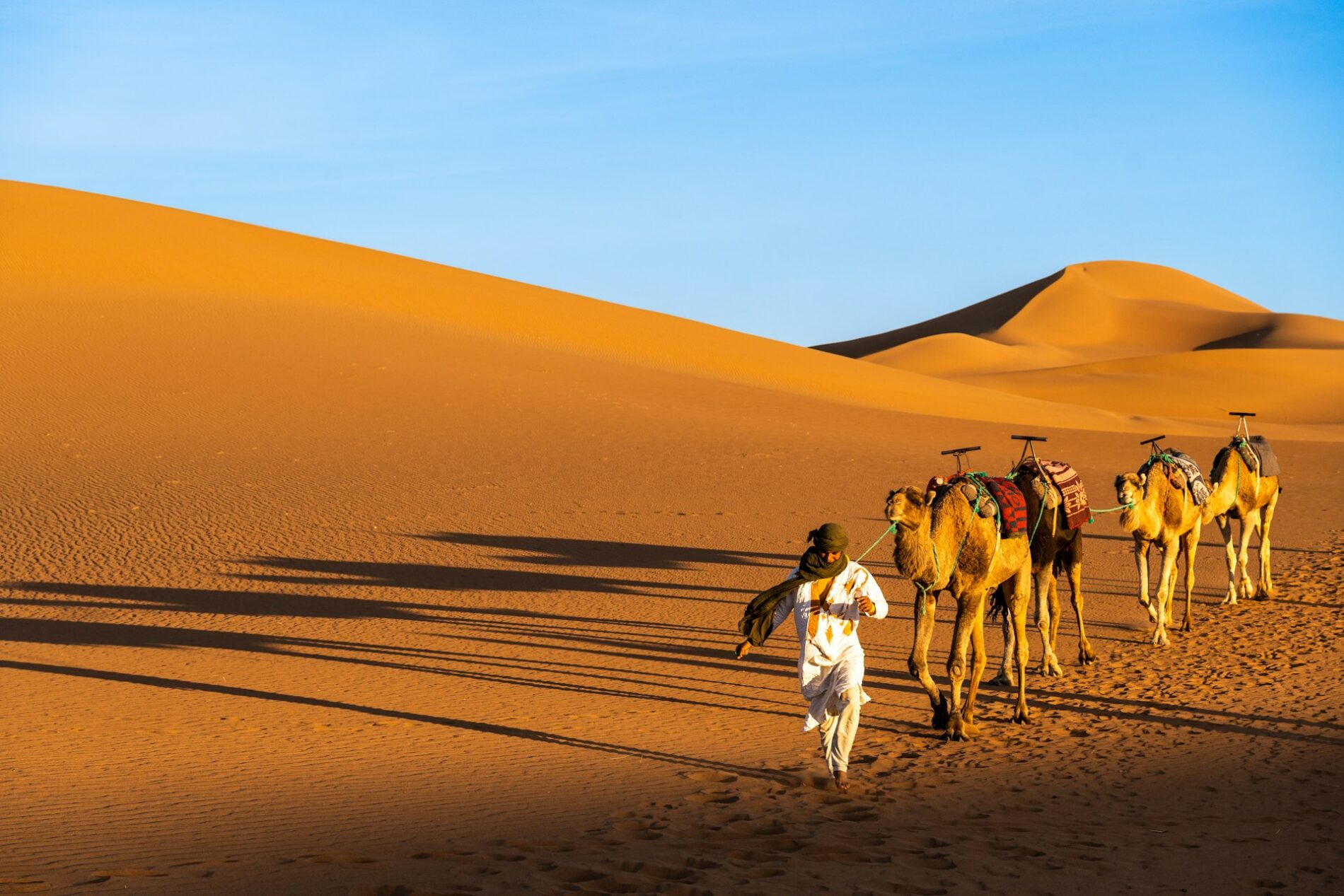 Morocco Tours in 2026